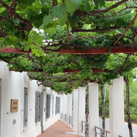 Port Wine Guesthouse Calitzdorp Bagian luar foto